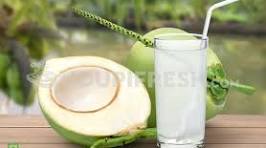 Coconut Drink 	20 X 500 ML 		OKF