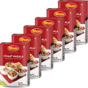 Chaat Masala Mix 100 G SHAN
