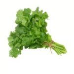 Fresh Corriander