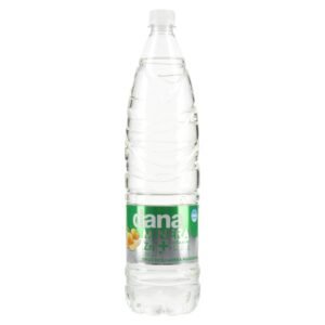 DANA VODA NEGAZ 1,5 L PET