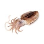 CUTTLE FISH 1KG
