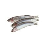 ANCHOVY 1KG GREEN TABLE