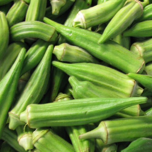 FRESH OKRA/BHINDI