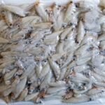 BD BLOCK KESKI WHOLE 250G
